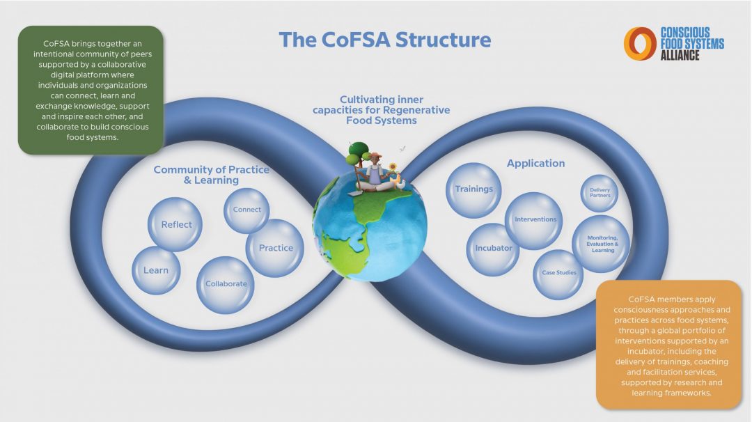 The-CFSA-Structure-1 (1)